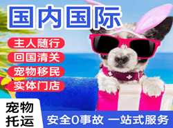 周水子航空物流国际宠物托运 【国